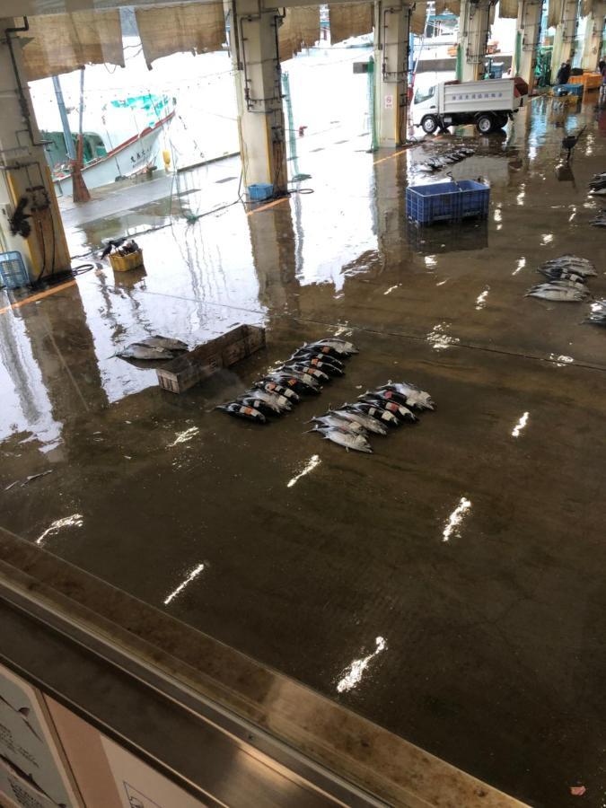 Villa 浜の宮七福神 1棟貸し9名様までご利用できます Nachikatsuura Exterior foto